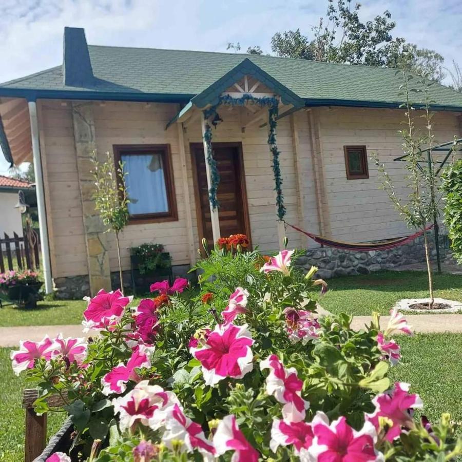 Rooms And Apartmants Mirovic Kolašin Εξωτερικό φωτογραφία