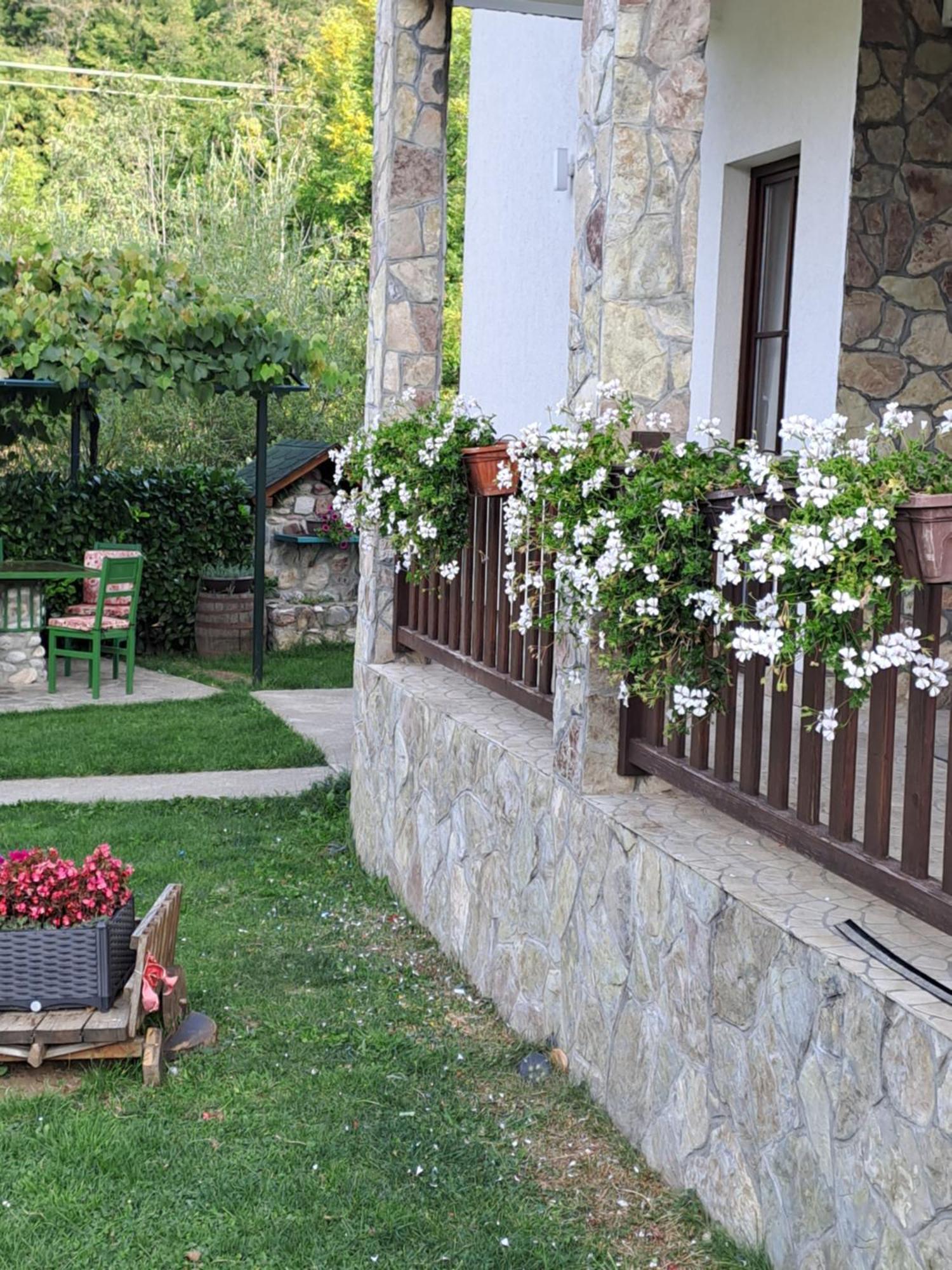 Rooms And Apartmants Mirovic Kolašin Εξωτερικό φωτογραφία